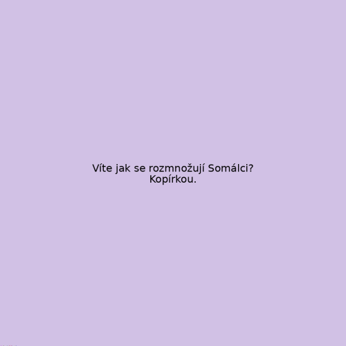 vtip_007.png