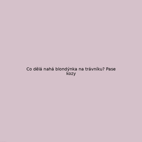 vtip_1446.png