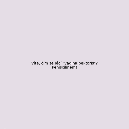 vtip_230.png