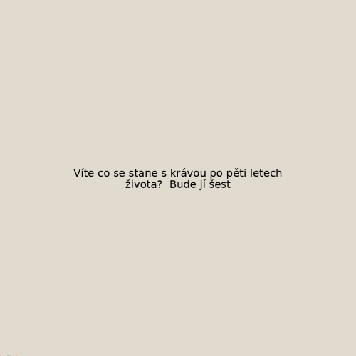 vtip_884.png